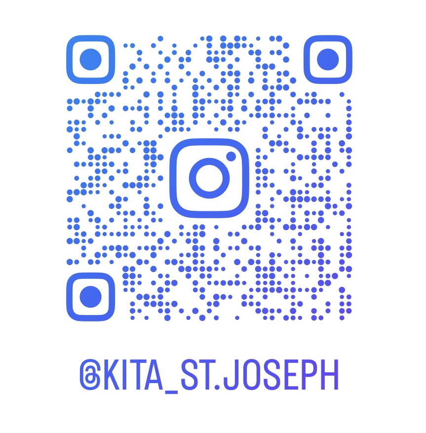 Insta6217